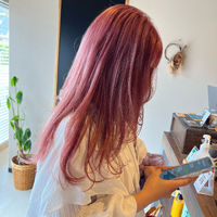 画像446