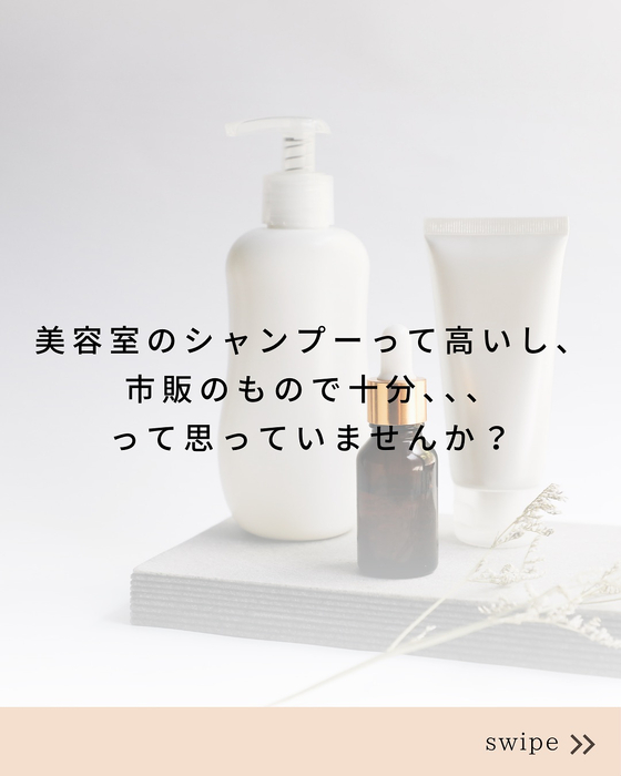 画像546
